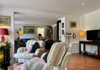 462105-Vorschaubild4