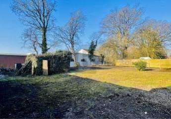 458587-Vorschaubild3