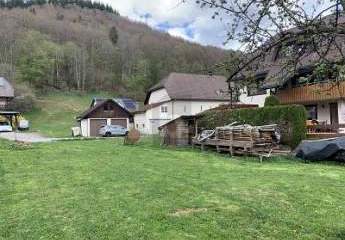 458993-Vorschaubild4