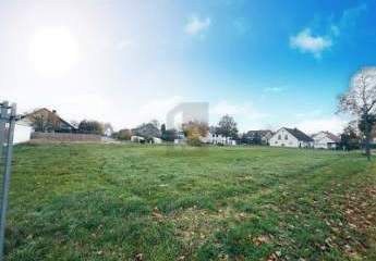 462118-Vorschaubild4