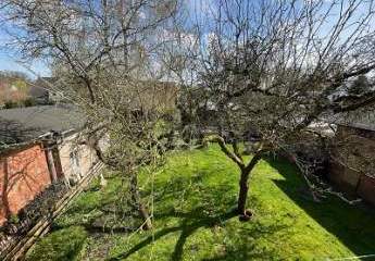 459970-Vorschaubild2