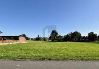 462281-Vorschaubild2