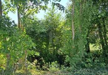 461507-Vorschaubild3