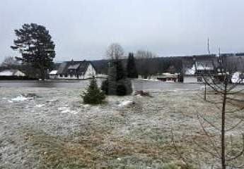 459672-Vorschaubild2