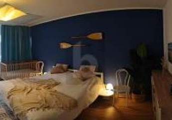 462284-Vorschaubild3