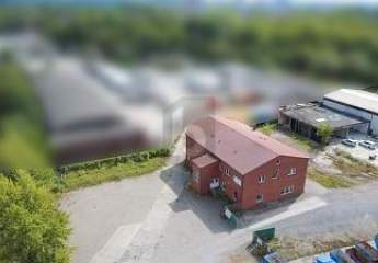 459951-Vorschaubild4