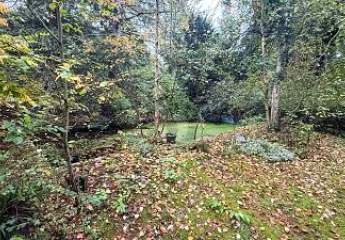 459773-Vorschaubild4