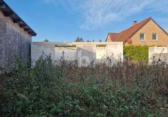 459814-Vorschaubild2