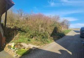 459846-Vorschaubild2