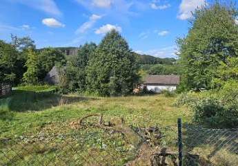 462067-Vorschaubild2