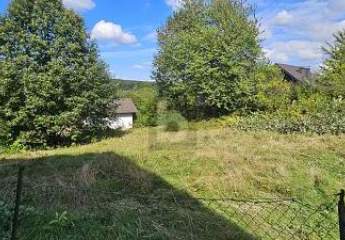 462067-Vorschaubild3