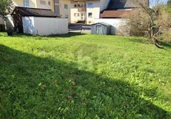 459513-Vorschaubild3