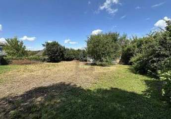 459520-Vorschaubild4