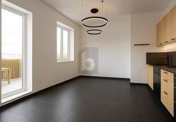 459929-Vorschaubild4