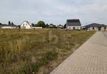 458917-Vorschaubild3