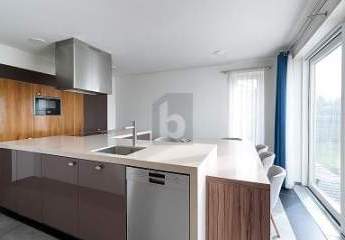 462935-Vorschaubild2