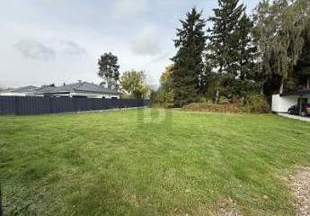 462766-Vorschaubild3