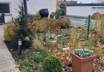 462921-Vorschaubild4