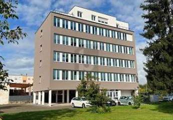 462626-Vorschaubild4