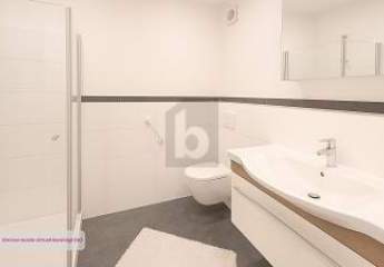 462933-Vorschaubild3