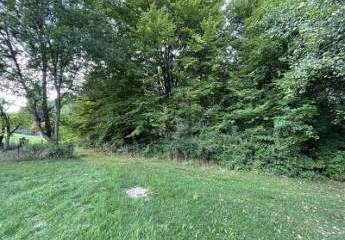 461807-Vorschaubild2