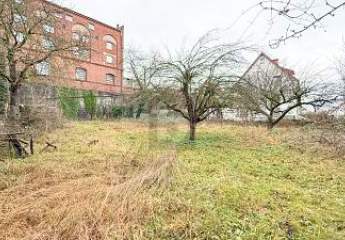 461985-Vorschaubild4