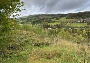 461998-Vorschaubild3