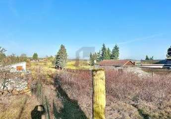 462007-Vorschaubild4