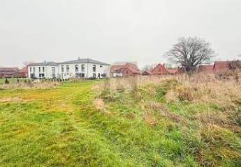 462031-Vorschaubild2