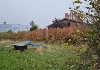 462070-Vorschaubild3