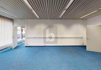 462075-Vorschaubild3