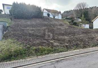 461550-Vorschaubild3