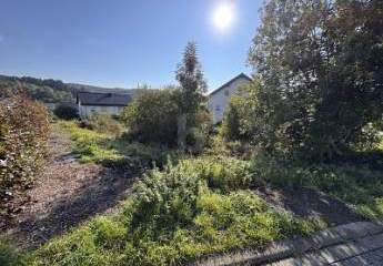 461597-Vorschaubild2