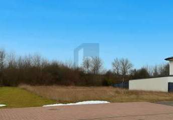 461600-Vorschaubild3