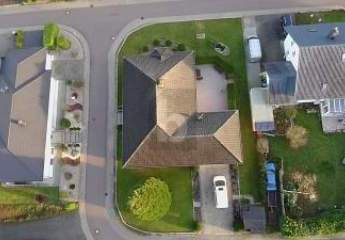 462402-Vorschaubild2