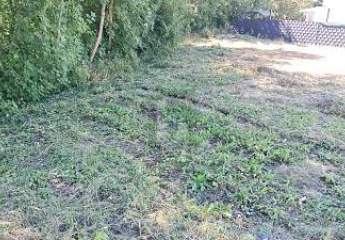 461507-Vorschaubild2