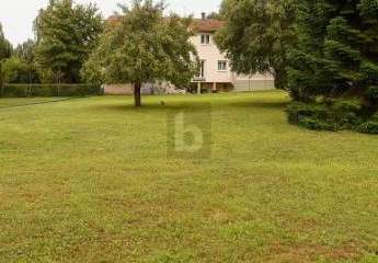 462404-Vorschaubild2