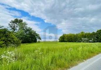 LEBEN IN DER NATUR AN DER NORDSEEKÜSTE