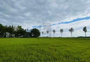 462600-Vorschaubild3