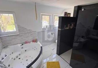 462615-Vorschaubild3