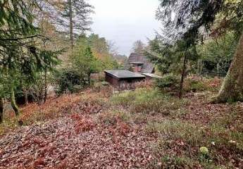 461538-Vorschaubild2