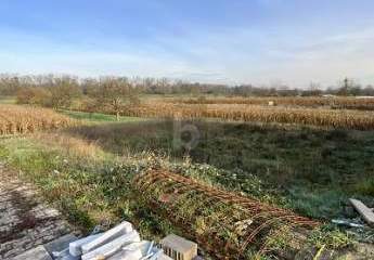 462792-Vorschaubild2