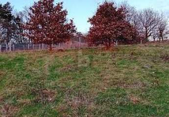 BAUEN MIT BLICK INS ALFTAL