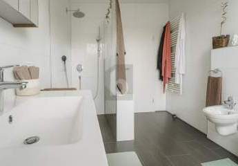 462432-Vorschaubild3