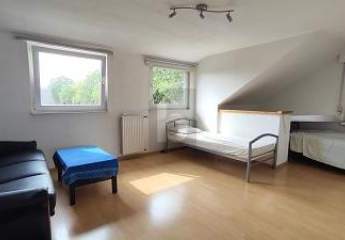 463427-Vorschaubild2