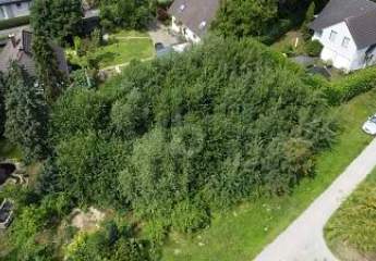 463431-Vorschaubild2