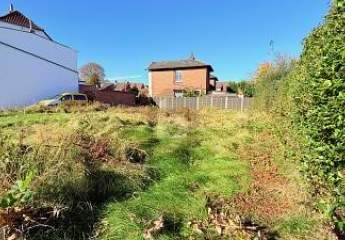 463436-Vorschaubild4