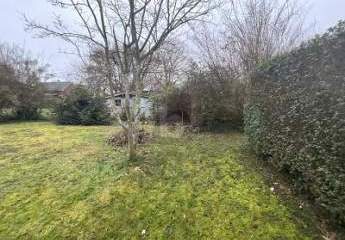 463525-Vorschaubild3