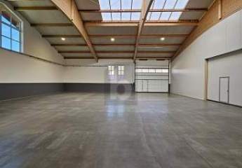 463399-Vorschaubild3