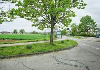 463318-Vorschaubild2